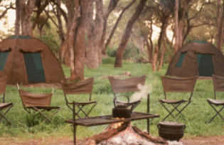 Wild Camping Botswana Vacations