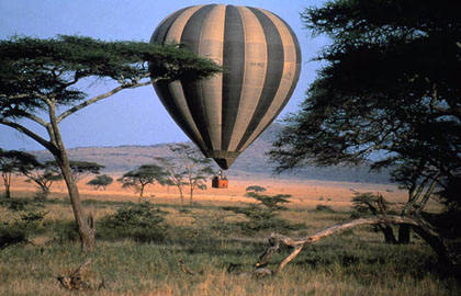 Kenya Wildlife & Wilderness